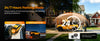 DAZA G501 24/7 parking monitor with collision detection and time-lapse mode